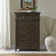 Deriah Panel Bed, Dresser & Mirror, Chest - Saddle Brown