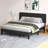 Upholstered Panel Bed-2006136469-2006136473