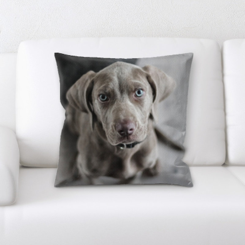 Coussin décoratif pour chien Aiden