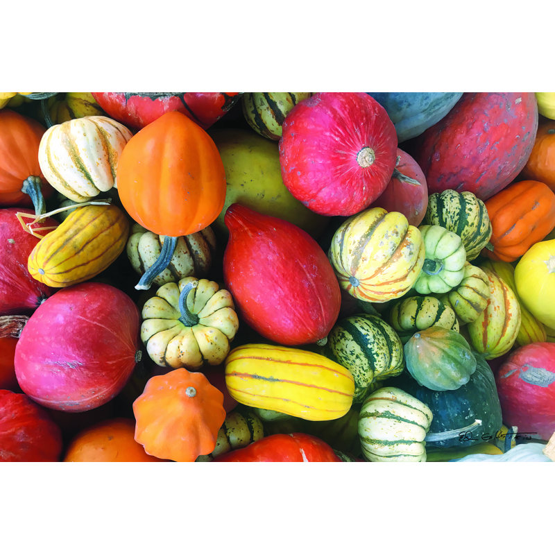 Autumn Bounty, H 20 po x l 30 po