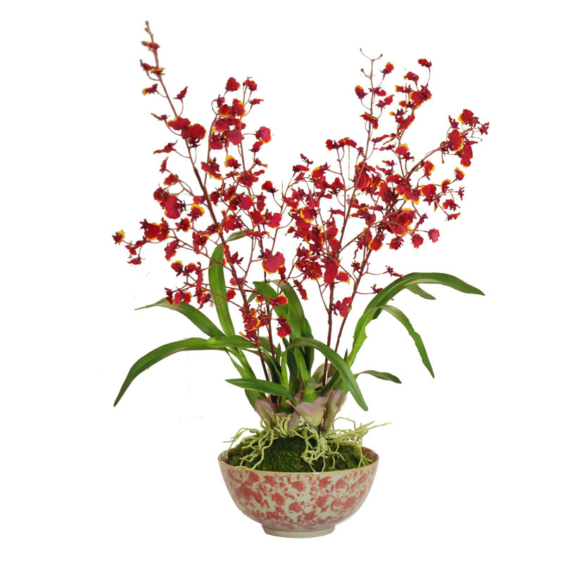 Orchids Floral Arrangement in Planter