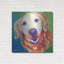 «Golden - Daisy Mae» par Dawg Painter-1597946528