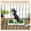 Tapis de pelouse artificiel pour dressage de petits chiens