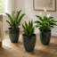 Jardinière intérieure / extérieure en résine vert brillant moderne avec soucoupe et écran de drainage (ensemble de 3)-2020441381-2020441382-2020441386