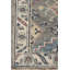 Oriental Area Rug in Gray