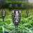 Halloween Solar Outdoor Lights with Flickering Flame Light Pack