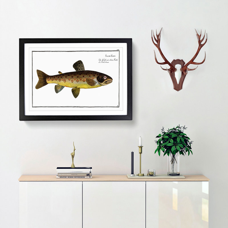 The Brown Trout Fish by M.E. Bloch - Picture Frame Art Print, 27cm H x 36cm W x 2cm D, Black Framed