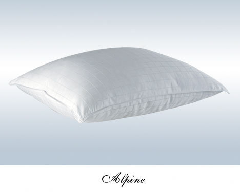 Oreiller européen en duvet synthétique de couleur blanche luxueux oie Sunglow