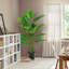 60 plantes