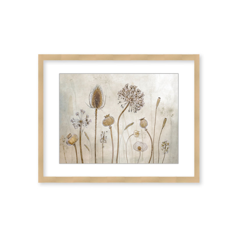 " Growing Old " by Mandy Disher, 10" H x 14" W, Framed Print with Mat, Natural