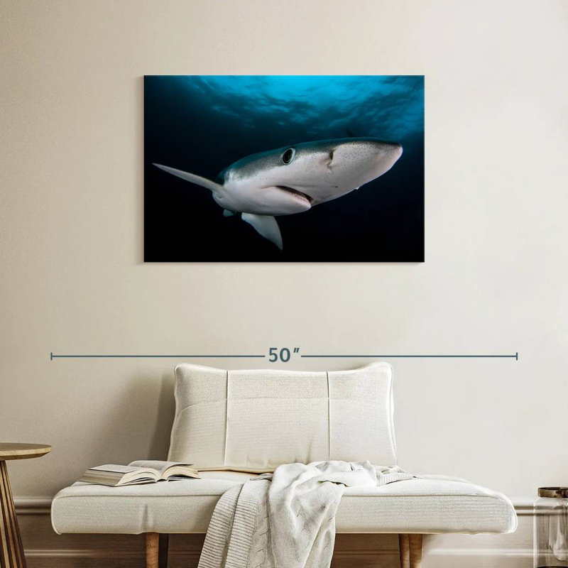 Brampt Underwater Blue Shark, 24" H x 36" W