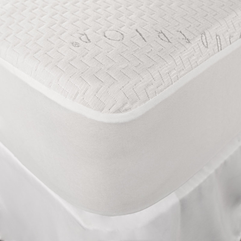 Benita Waterproof Fitted Mattress Protector Case Pack, Full