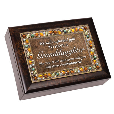 Plastic Memory Box