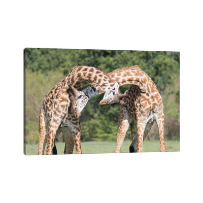 Africa, Kenya, Maasai Mara National Reserve 1 Piece Wrapped Canvas Wall Art