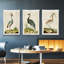 Heron Portrait I, ensemble de 3 toiles encadrées-97792282-97792280