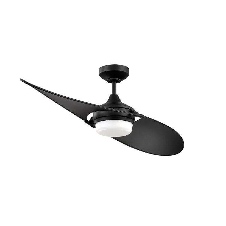 Annessia 52'' Ceiling Fan with LED Lights