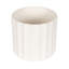 Faux eucalyptus moderne Eudora avec pot de chambre de bébé et mousse ensachée-950024850-959286232