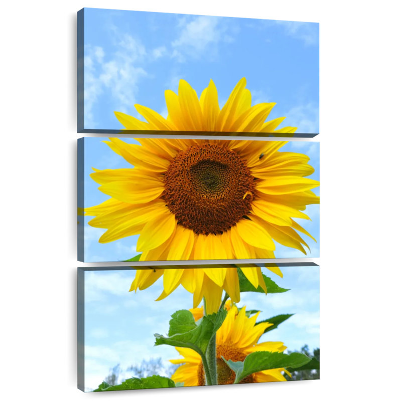 Harnek Sunflower Blooming, 32" H x 20" W