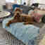 Photos des clients 1 de 1