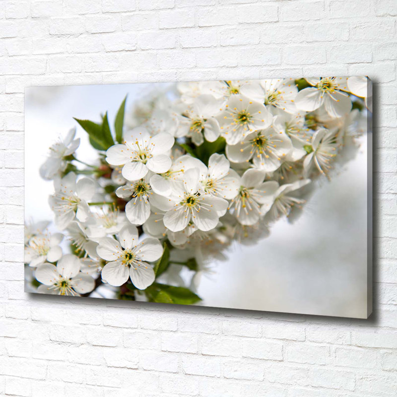 Cherry Blossoms - No Frame Print on Canvas