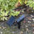 Tri-color Progressive Solar Spotlight