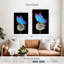 Ronce bleu Morpho sur pissenlit-108246825