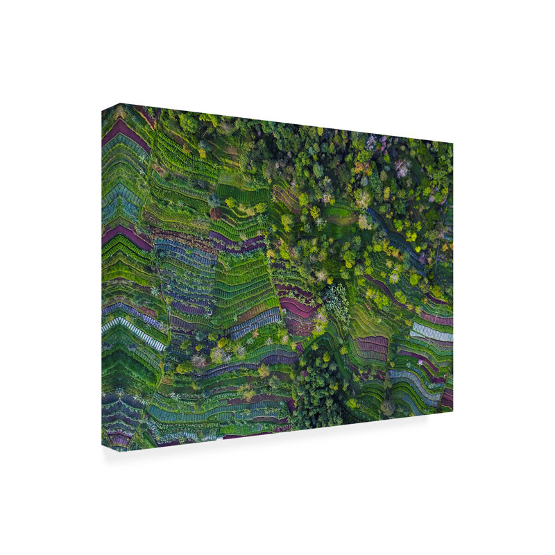 Farid Yuwono  Pattern Canvas Art, 14" H x 19" W