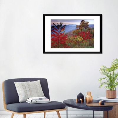 " Staghorn Sumac In Autumn, Blue Ridge Mountain Range, Virginia " by Tim Fitzharris