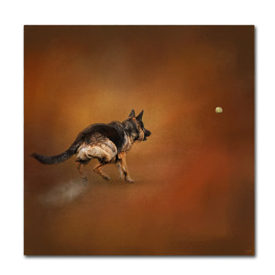 Gimme That Ball German Shepherd by Vidur - Graphic Art Print on Canvas