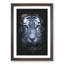 Tiger Portrait - Framed Print-56856964-56856965