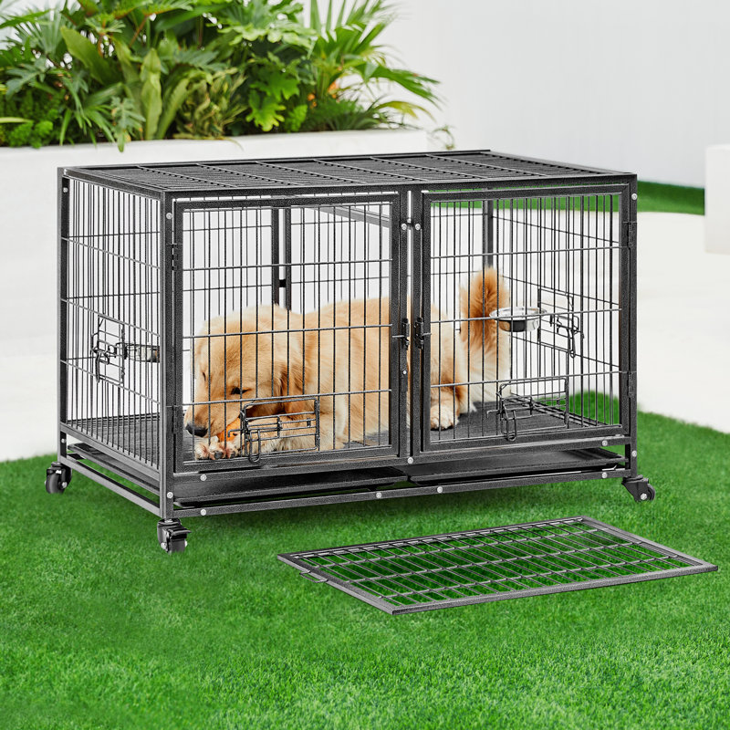 Cage pour chien en métal Danigle