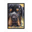 Rottweiler, reproduction sur toile-32498413-72128409-72128422