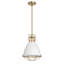 Luminaire suspendu simple Agripina-2101204155