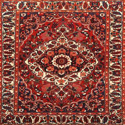 Oriental Indoor Rug