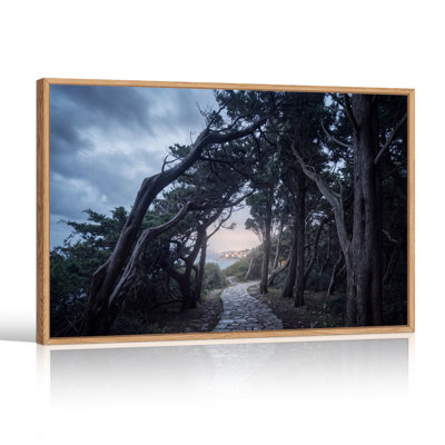 Art mural sur toile Tw Twist Trees Stone Path To Coastal Village