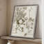 «Sepia Botanical Journal», reproduction encadrée en bois massif-1733070178