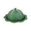 Cabbage Serving Tray