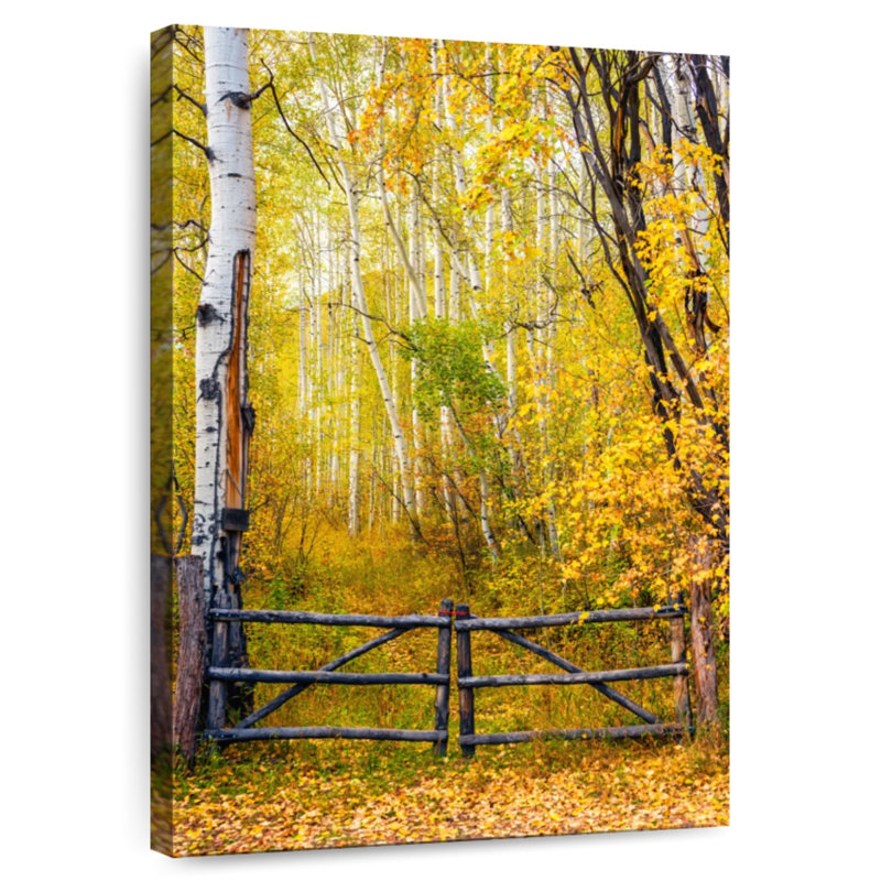 Harnek The Colorado Gate Colorado, H 45 po x l 30 po