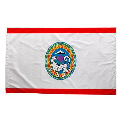 Drapeau de la ville d'Almaty - drapeau extérieur