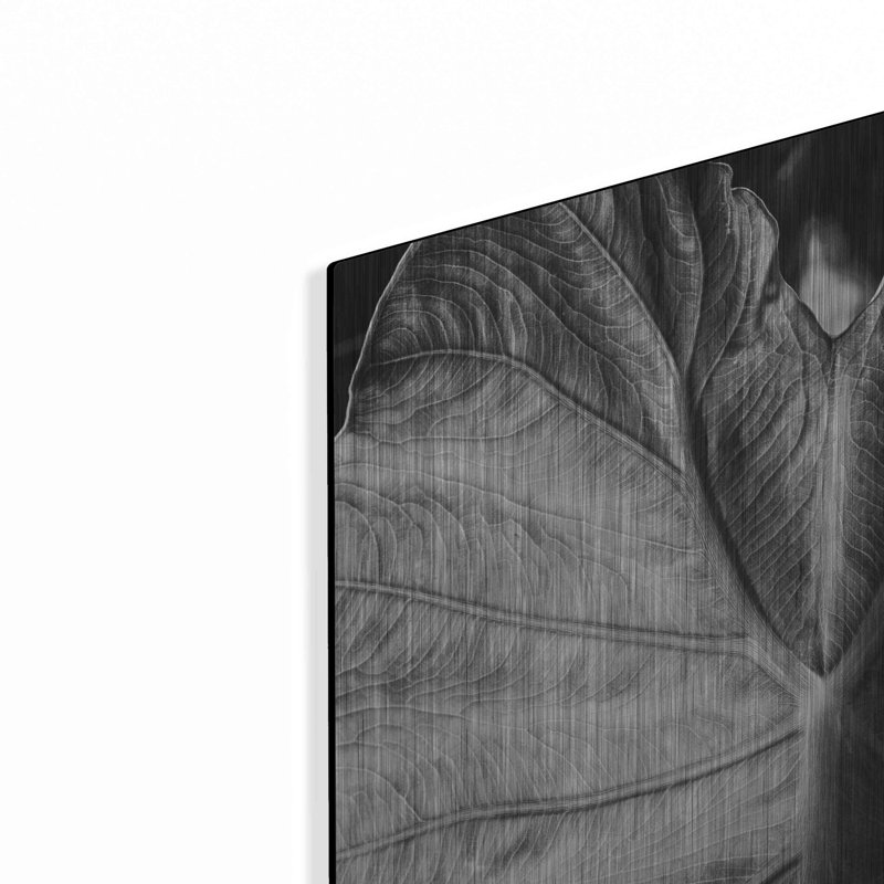 «Elephant Ear I» par Debra Van Swearingen, H 24 po x l 16 po