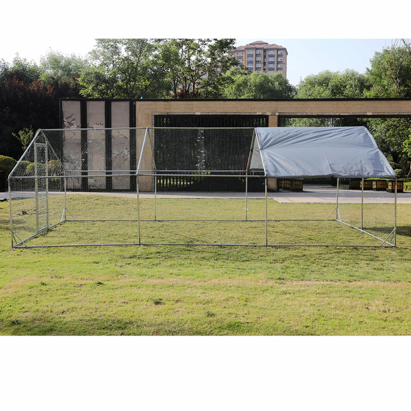 Poulailler Durelle, H 77 po x l 237 po x P 119 po