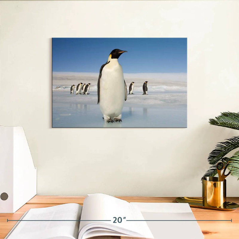 Pingouins qui marchent, H 8 po x l 12 po