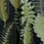 Boutique Julio Cotton Blend Performance Fabric