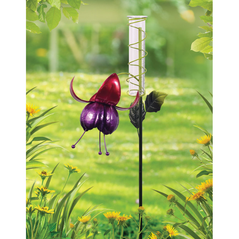 Jauge de pluie fuchsia Senay