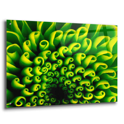 «Green Design 1» par PhotoINC Studio