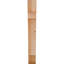 Attelle de genou olympique-29309935-31230592-70294220