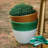Viva Garden Reactive Cachepot-119182255-119182252