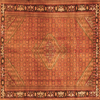 Oriental Indoor Rug