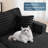 86"W Corduroy Upholstered Cloud Sleeper Sofa Bed Glauser Deep Seat Oversized Chaise Lounge Indoor-1397258793