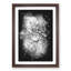 'Bare Tree' - Picture Frame Graphic Art Print-56856579-56856578